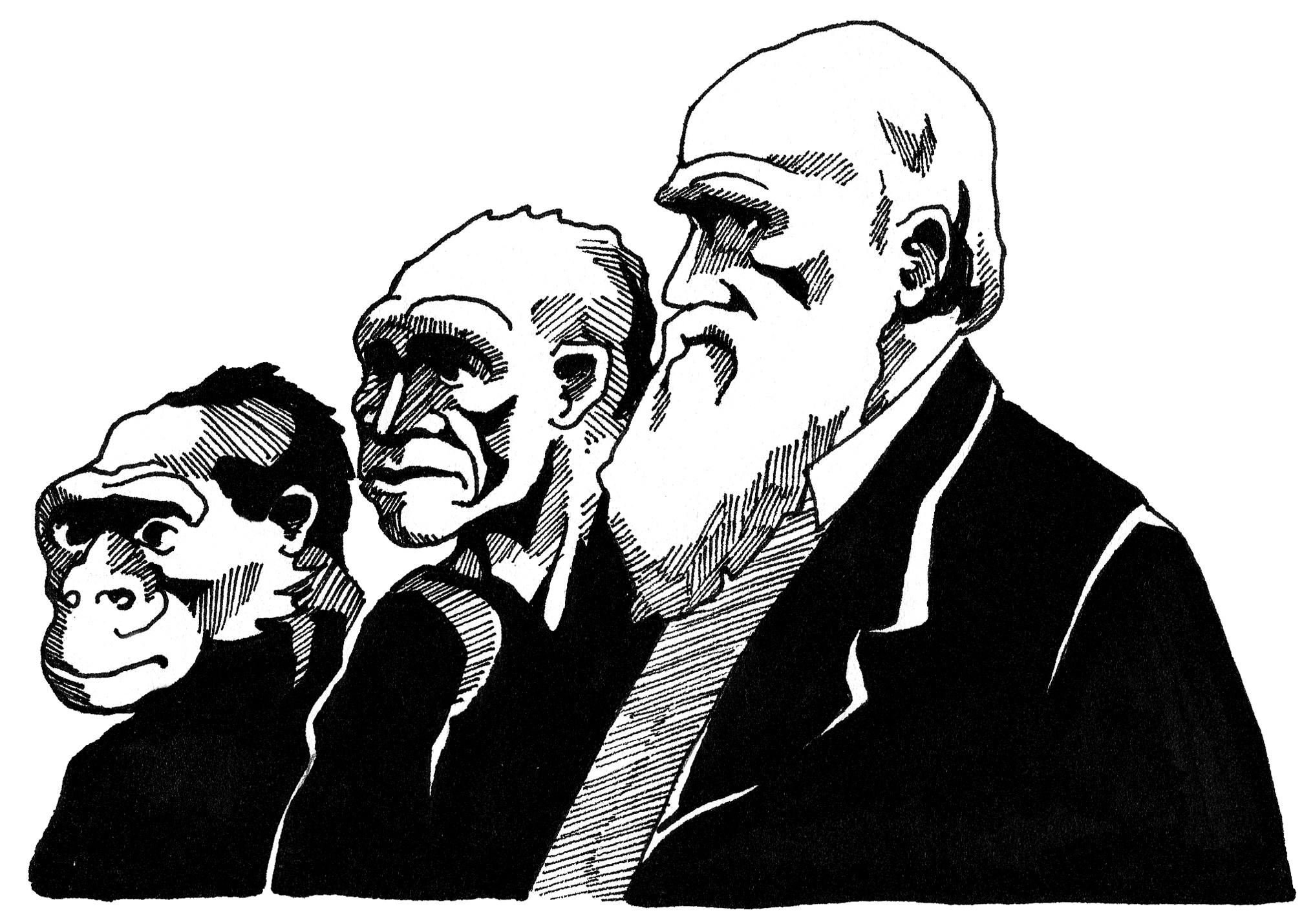 Survival of the Evolution Lesson Plan